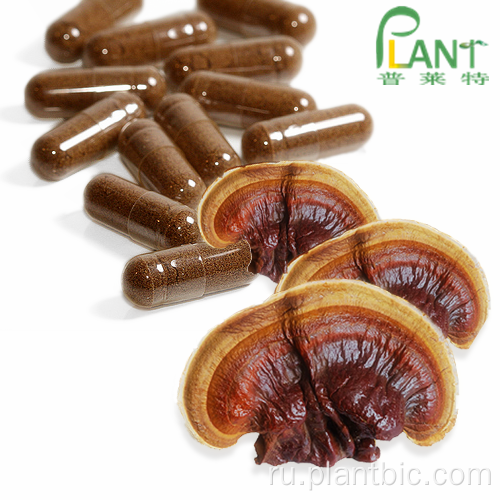 Ganoderma lucidum Reishi Mushroom Extract Полисахарид